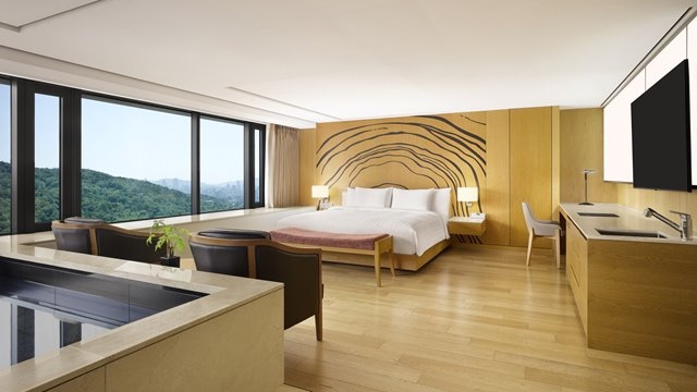 Deluxe Pool City View